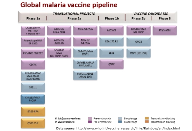 Tabla Arcoiris de proyectos de vacunas contra la malaria, en distintas fases